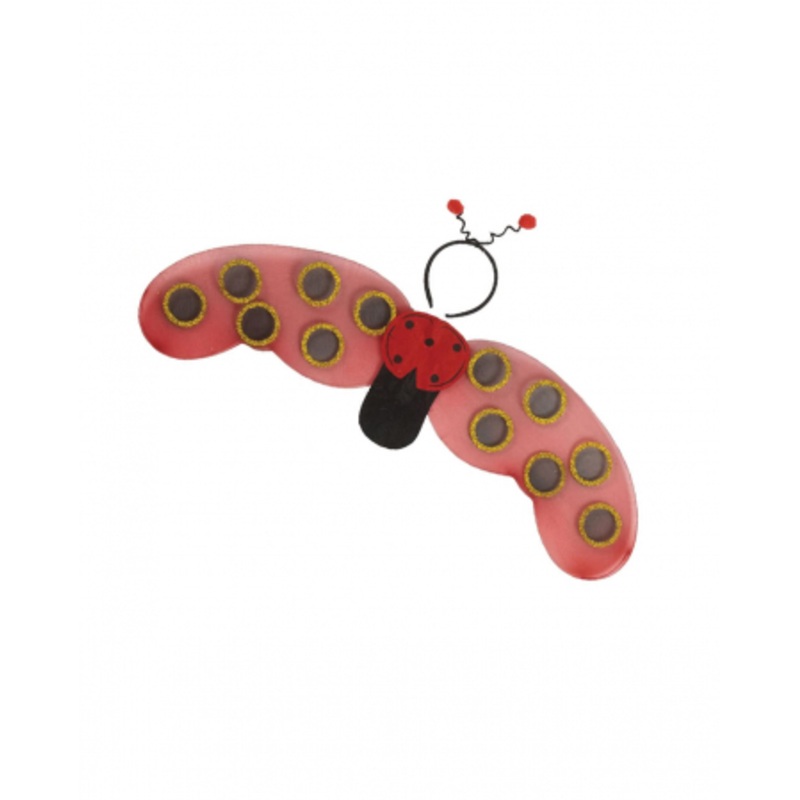 Ladybug Set For Children