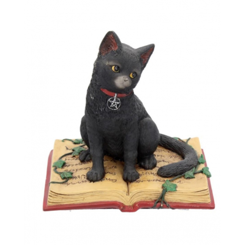 Black Cat With Witch Book