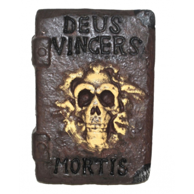 Book Of Witches With Skull
