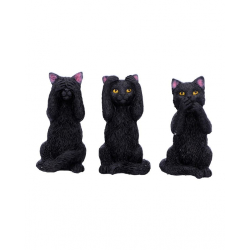 Three Wise Black Cats