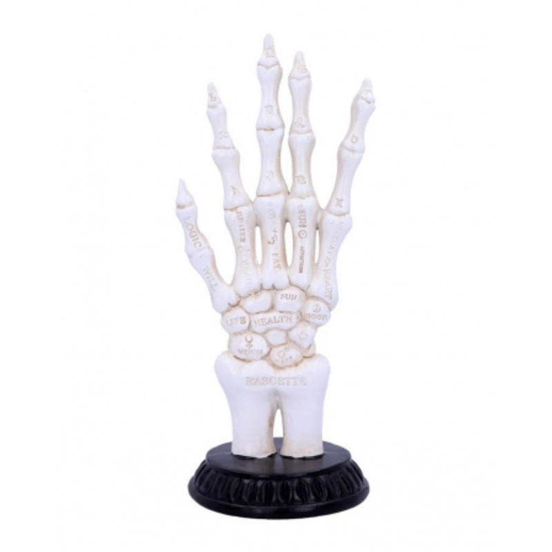 Skeleton Hand With Fortune Telling Symbols