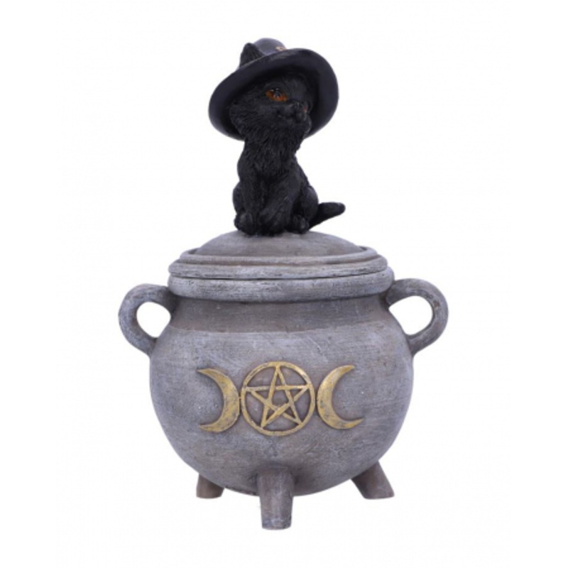 Black Cat With Witch Cauldron Casket 14cm