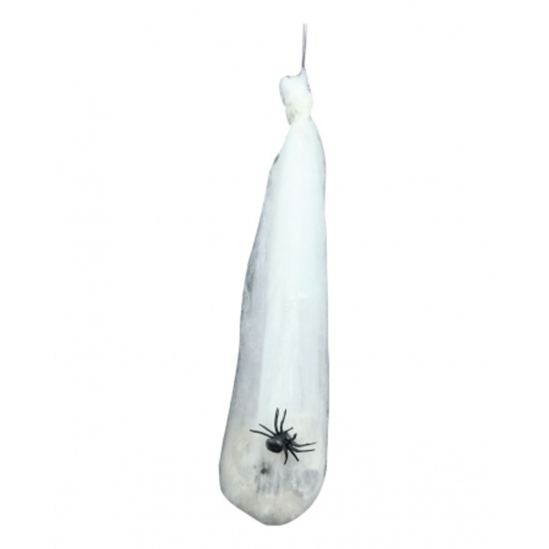 Cobweb Cocoon With Skull