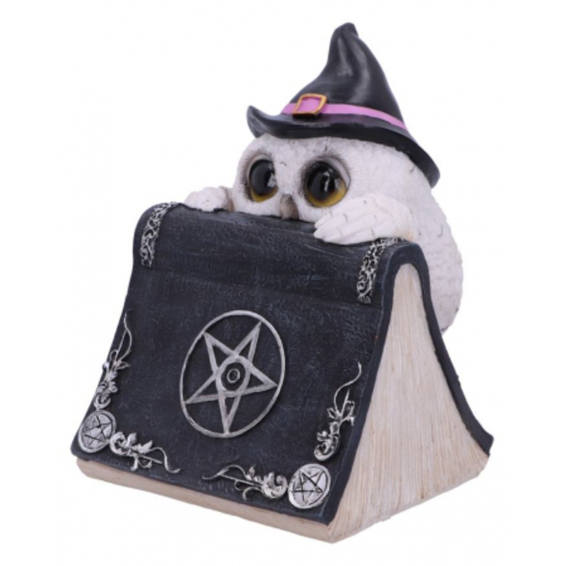 Owl With Pentagram Spell Book 15cm