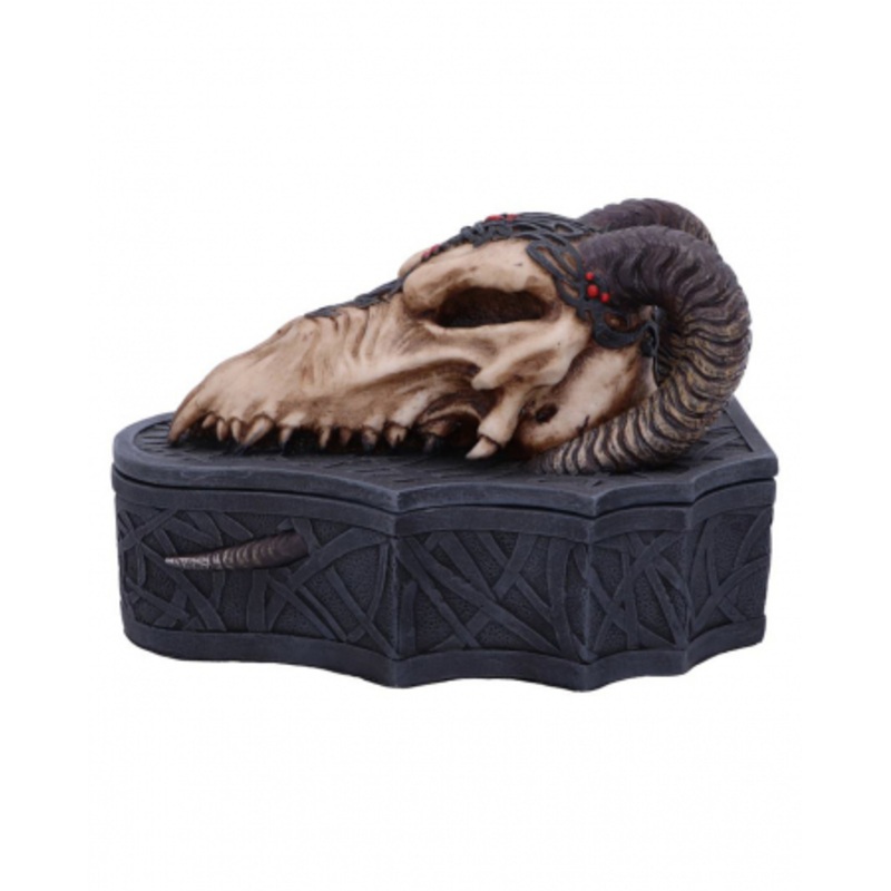 Dragon Skull Skull Box 17.7cm