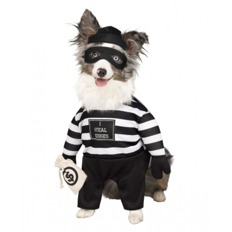 Bank Robber Costume For Dogs S (ca. 5 - 7,5 kg)